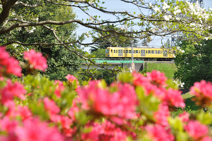 花と鉄道２