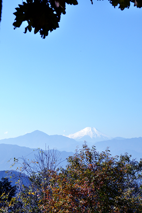 富士山