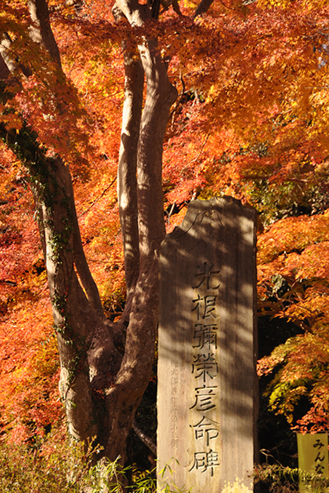 紅葉の中の石碑