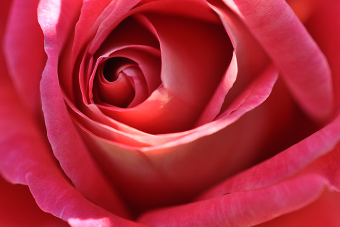 クローネンブルグ