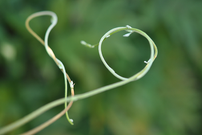 くるくる・・・３