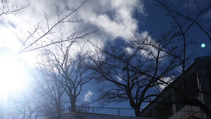 年末の空