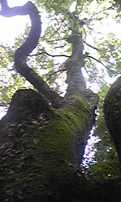 DVC00101.jpg