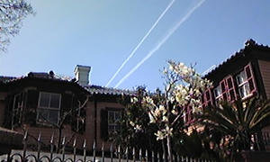090321_124121.jpg
