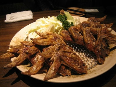 2009-5-2.jpg