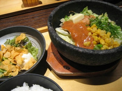 2009-4-17.jpg