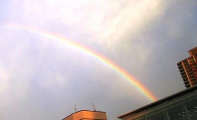 2009-7-19-2.jpg