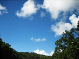 2009-8-17-19.JPG