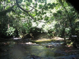 2009-8-17-16.JPG
