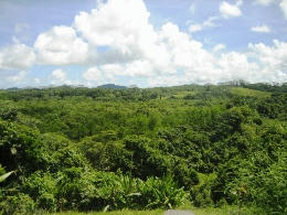 2009-8-17-2.JPG