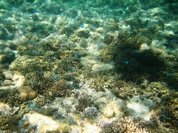 2009-8-16-12.JPG