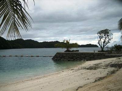 2009-8-15-1.JPG