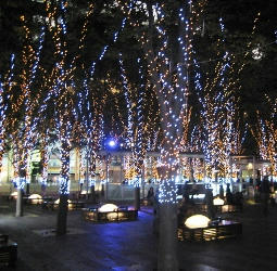2009-11-14.JPG