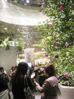 2009-12-13.jpg
