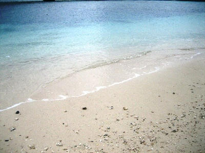 2010-1-6-19.jpg