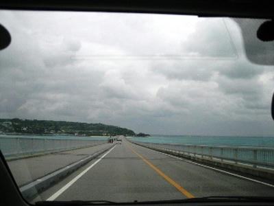 2010-1-6-15.jpg