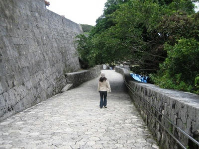 2010-1-5-7.jpg