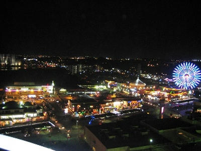 2010-1-4-8.jpg