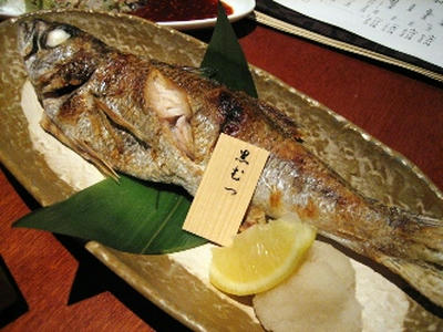 2010-1-19-2.jpg
