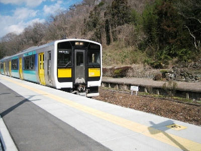 2010-3-19-7.JPG