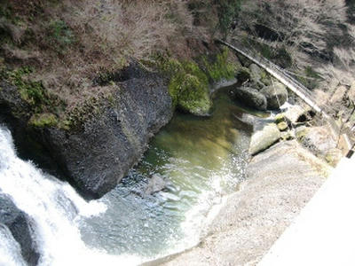 2010-3-19-6.JPG
