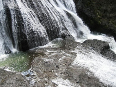 2010-3-19-4.JPG