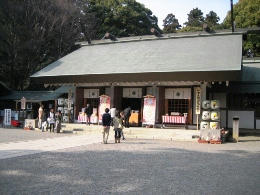 2010-3-18-6.JPG