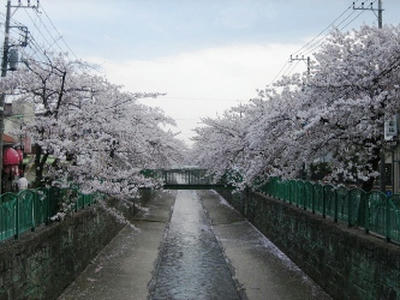 2010-4-12-1.JPG