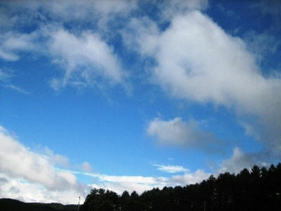 2010-8-11-11.JPG