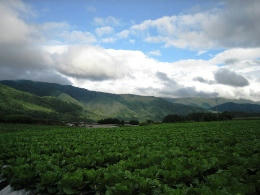 2010-8-11-10.JPG