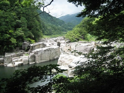2010-8-11-4.JPG