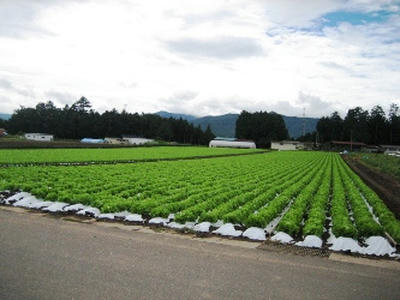2010-8-11-1.JPG