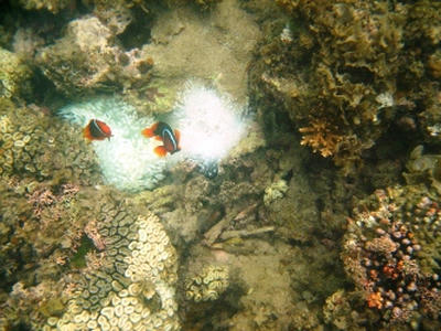 2010-8-13-10.JPG