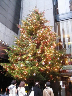 2010-12-12-1.JPG
