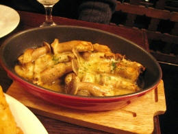 2010-11-23-3.JPG
