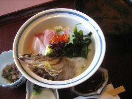 2011-1-4-11.JPG