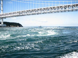 2011-1-4-10.JPG