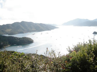 2011-1-4-2.JPG