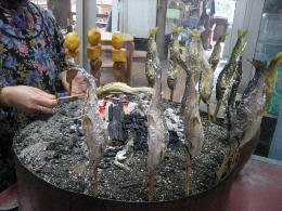 2011-1-5-10.JPG