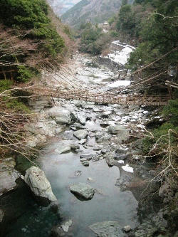 2011-1-5-7.JPG