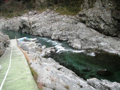 2011-1-5-2.JPG