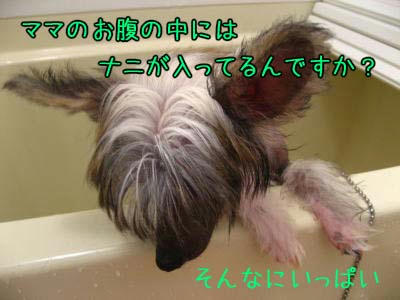 7.06.22_3.jpg