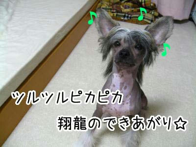 7.06.22_7.jpg