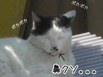 06_02_01.jpg