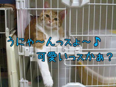 05.31_3.jpg