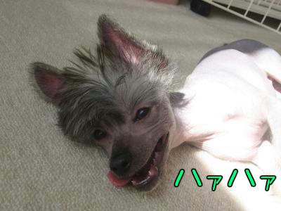 05.24_1.jpg