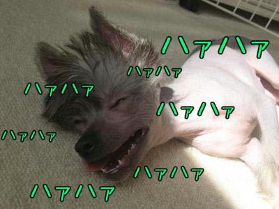 05.24_2.jpg