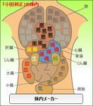 小田和正体内メーカー