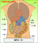 河田圭詞体内メーカー