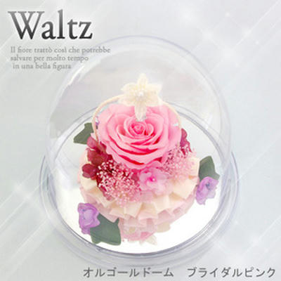 ホワイトデーのお返しに アナ雪の バラの花 長期保存できるプリザーブドフラワーです 喜ばれる女子へのプレゼント定番 ディズニー 送料無料 喜ばれる ホワイトデーのアナ雪グッズまとめ